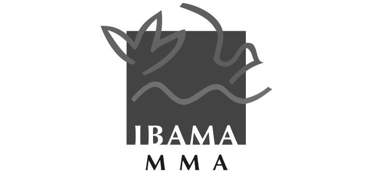 Logo IBAMA